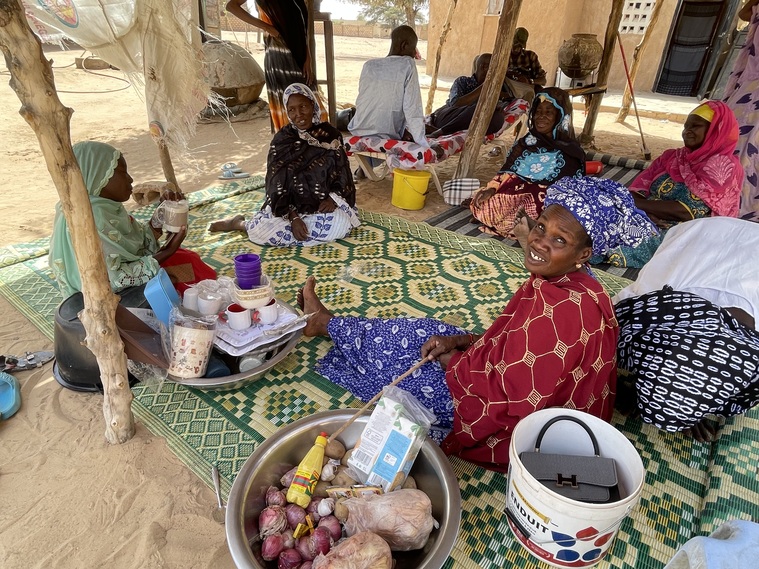 Senegal, Mikrokredit-Gruppe